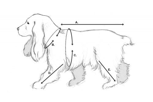 come prendere le misure per la tuta impermeabile per cani