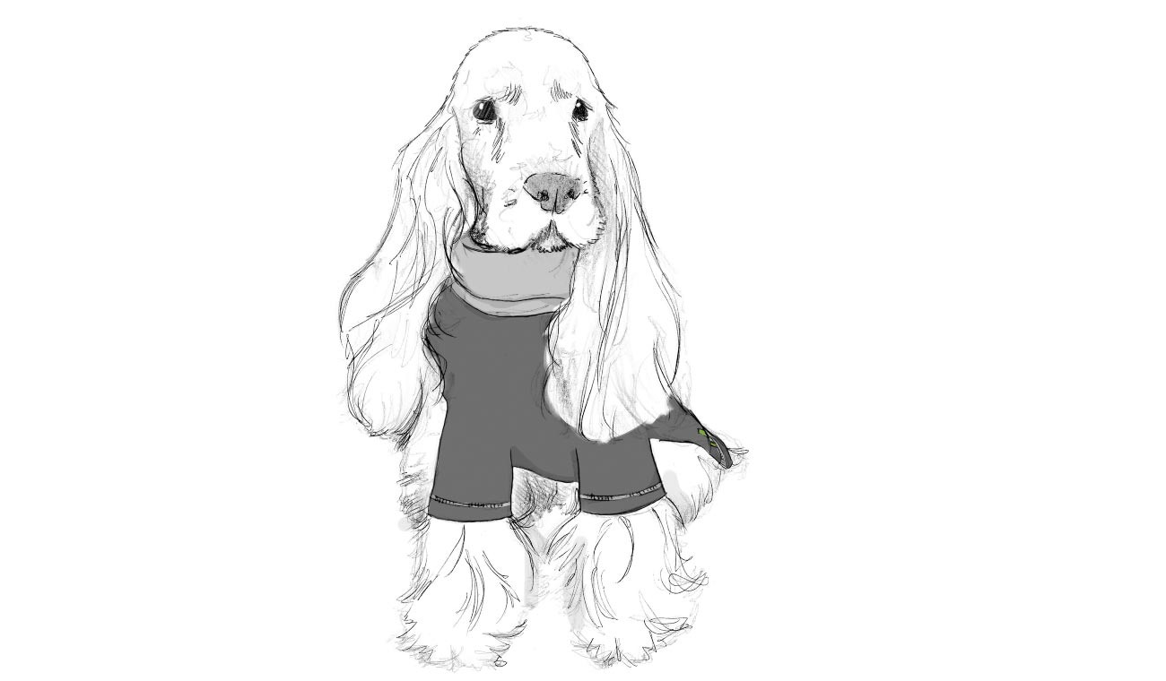 MAGLIA PER CANI TECNICA
