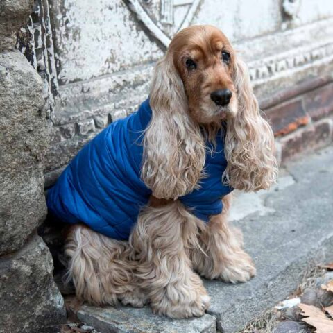 ECO PIUMINO REVERSIVIBILE PER CANI